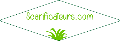 Scarificateur Soldes Boutique